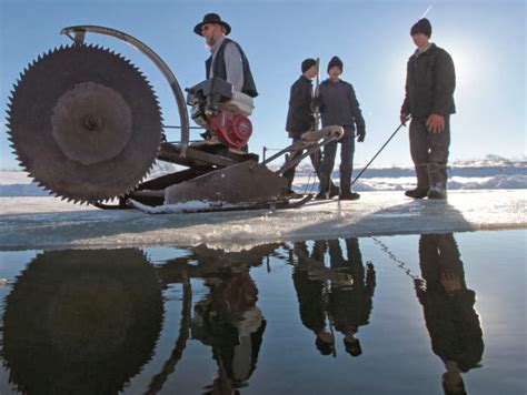 Tywkiwdbi Tai Wiki Widbee Harvesting Ice