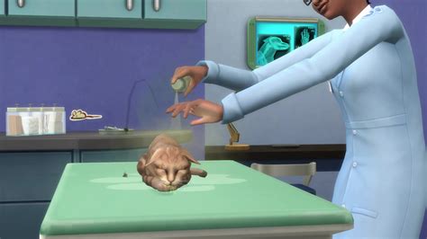 Trailer Of The Sims 4 Cats And Dogs Goodsjoher