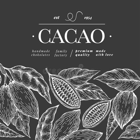 Cocoa Beans Vector Seamless Pattern Engraved Vintage Style