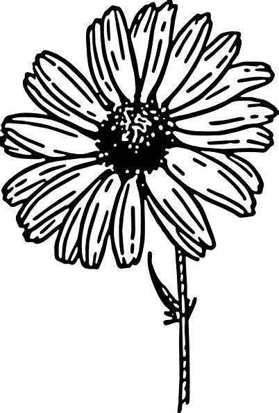 Daisy Black And White Clip Art At Vector Clip