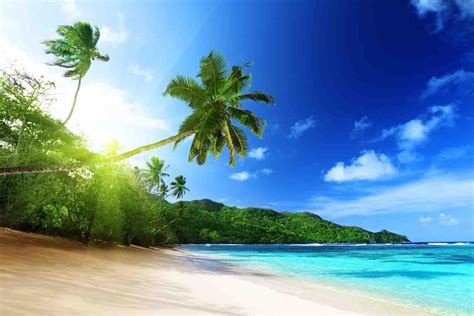 Tropical Island Wallpaper for Android - APK Download