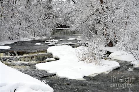 Peaceful Winter Scene Photograph By Dyana Rzentkowski