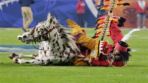 Florida State Seminoles Horse Mascot Renegade Ok After Fall During