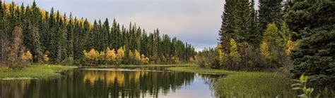 Boreal Forest Natural Resources Canada