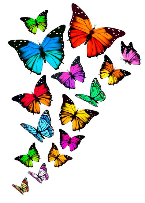 Set Of Colorful Butterflies Vector Material 10 Free Download