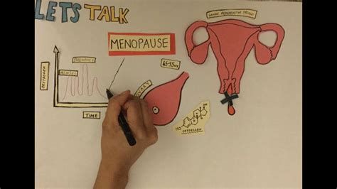 Lets Talk Menopause Youtube