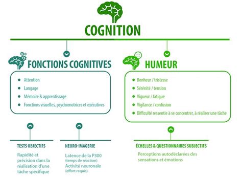 Qu Est Ce Que Les Fonctions Cognitives