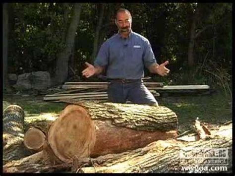 Cutting and sawing timber takes a little practice especially if you want a straight cut. Woodworking DIY Tips: Cutting Lumber from Logs - YouTube