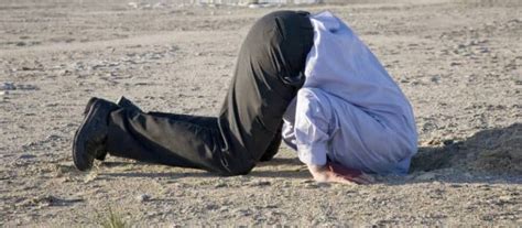 What Does Bury Your Head In The Sand Mean When To Say It