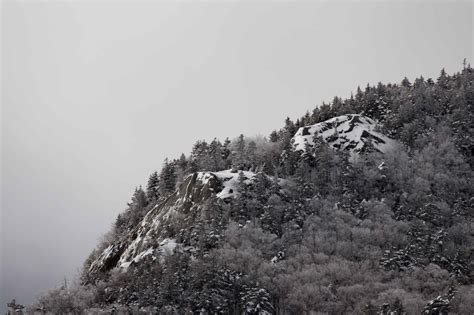 Free Picture Landscape Mountain Tree Wood Fog Snow Cold Winter