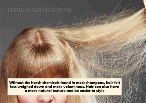 What Happens If You Stop Using Shampoo On Hair 4 Unbelievable Effects