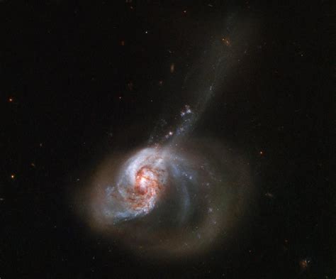 But we have learned a few things about barred spiral galaxies like ngc 2608. 8 Gorgeous Galaxies Shot This Summer By The Hubble Space ...