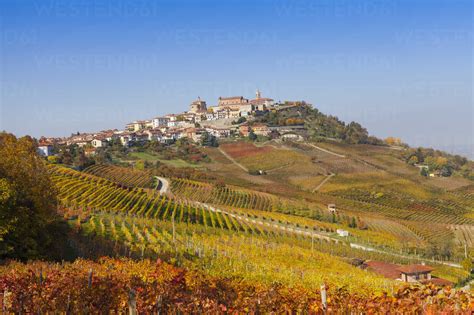 View Of Autumn Vineyards And Hill Village Langhe Piedmont Italy