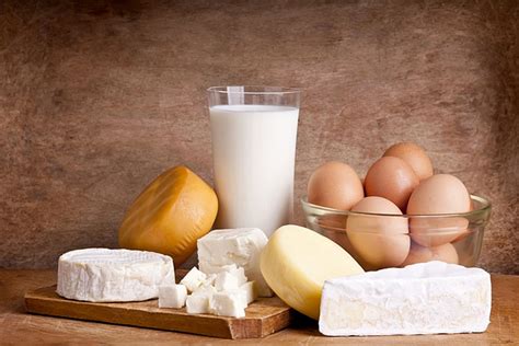 Dairy Products Manufacturers And Wholesalers
