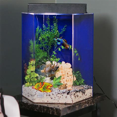 Clear For Life Hexagon Aquarium Fish Tank Aquariums At