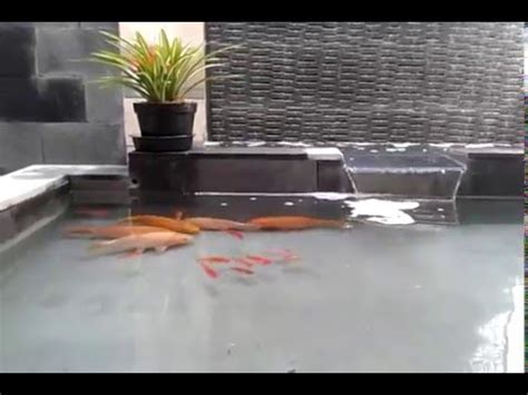 Sedangkan untuk harga batu alam untuk kolam ikan minimalis sangat bervariatif kisaran harga mulai rp. Taman kolam ikan minimalis batu alam - YouTube