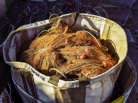 Gambar Hidangan Makanan Peralatan Penangkapan Ikan Pelabuhan