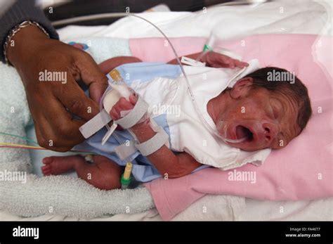 Mothers Hands On Premature Baby Boy In An Incubator In The Neonatal