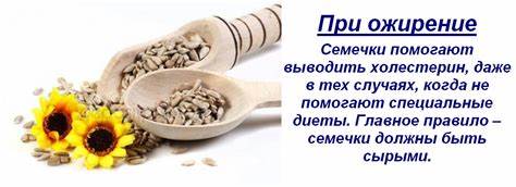 Семечки подсолнечника при диете Можно ли есть семечки на диете и при похудении: есть ли разница, кушать Можно ли есть семечки на диете и при похудении: есть ли разница, кушать Семечки подсолнечника при диете