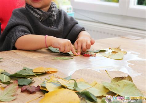 Activité manuelle automne pour enfant et adulte en 84 idées créatives. Attrape-soleil d'automne : Observer les feuilles d'arbres