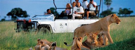 Zimbabwe Safaris Safaris In Zimbabwe
