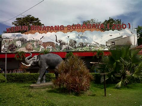 Surabaya Zoo My Destination