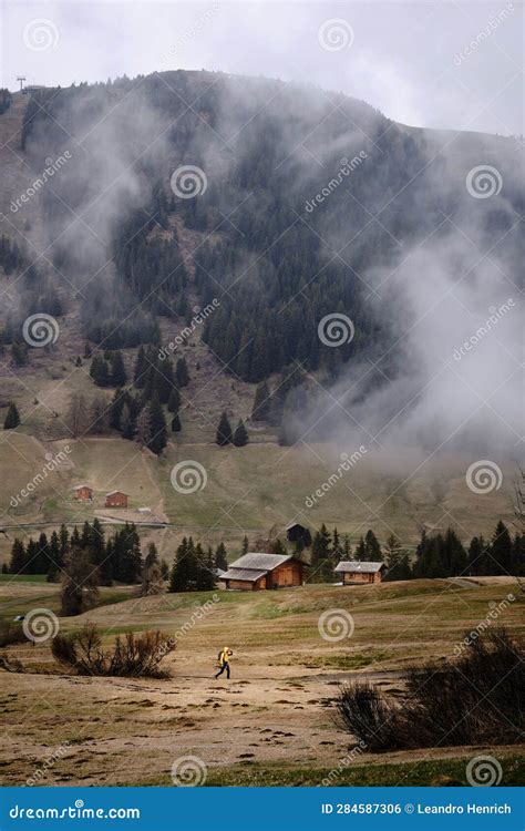 Autumn Meadow In Front Of A Barn In The Italian Alps Covered In Dense