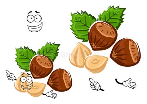 Cartoon Isolated Hazelnut With Brown Nuts Stock Vector Image 62020127