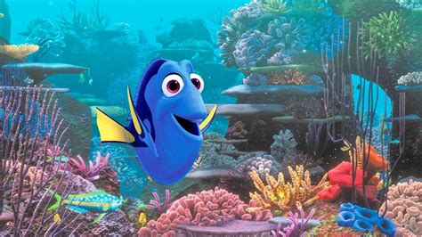 Dorys Reef Cam Coming To Disney
