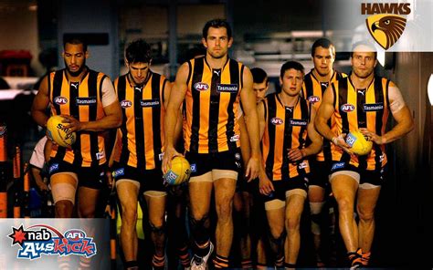 Hawthorn football club rgb, cmyk, hex, pantone color codes for html, printing, design projects. Australian Football League Wallpapers - Wallpaper Cave