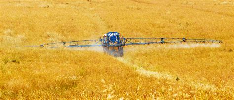 Does Glyphosate Cause Cancer FactCheck Org