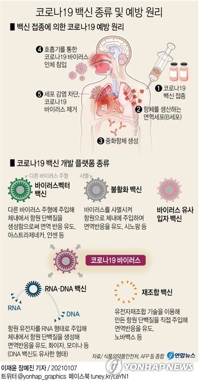 사이즈19 size19 는 무료야동 사이트입니다. 그래픽 코로나19 백신 종류 및 예방 원리 | 연합뉴스