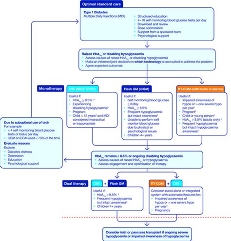 A Type 1 Diabetes Technology Pathway Consensus Statement For The Use