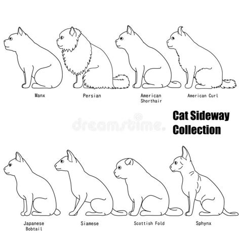 Sitting Cats Side View Line Art Set Sitting Cats Line Art Side View