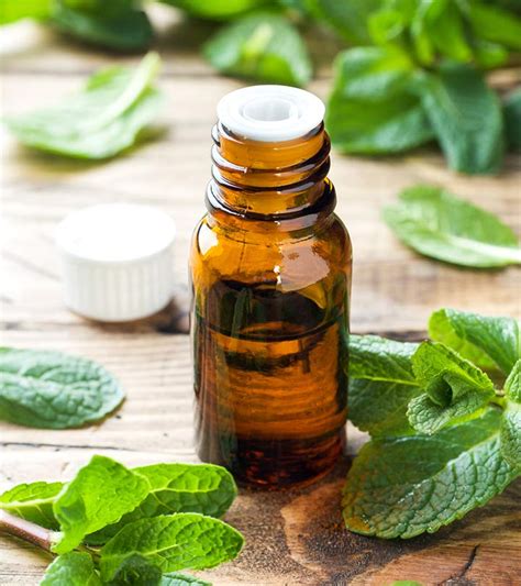 Peppermint Oil For Hair Benefits And How To Use