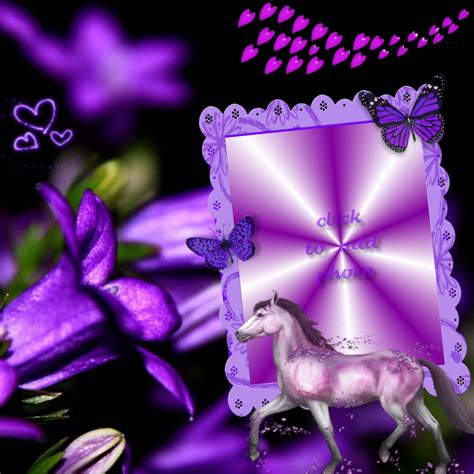 Marialedesma1958s Pets And Animal Frames 2013 2014 Purple Tulips