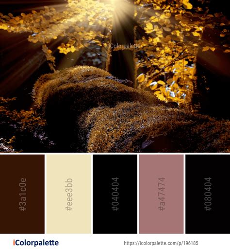 Color Palette ideas from 1137 Sunlight Images | iColorpalette | Color, Color palette, Color combos