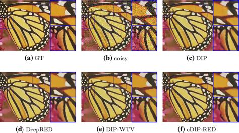 Restored Images For The Butterfly Test Problem Setting Download