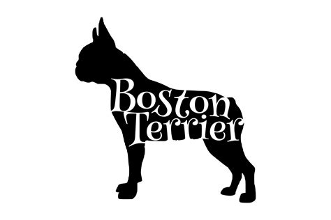 Boston Terrier - SVG PNG EPS (148278) | Cut Files | Design Bundles