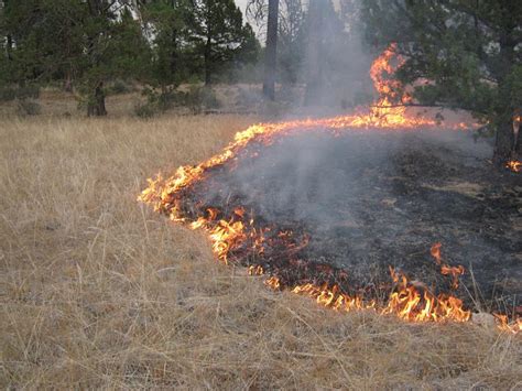 Metro Warns About Out Of Control Grass Fires Kempton Express