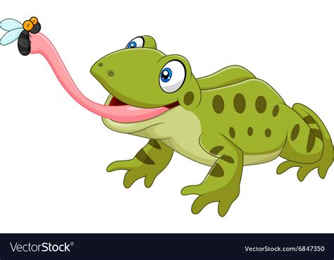 Cute Frog Catching Fly Isolated Royalty Free Vector Image