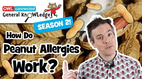 How Do Peanut Allergies Work General Knowledge Youtube