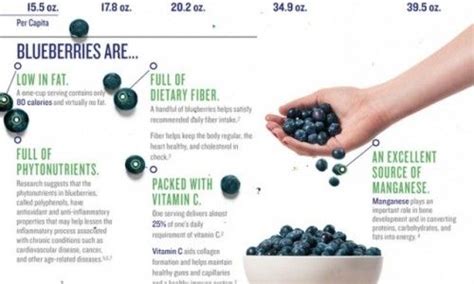 Blueberry Nutrition Fact Twin Fruit