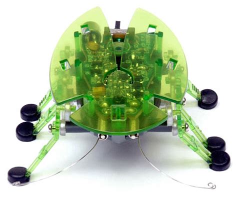 Hexbug Robotic Bug Fat Brain Toys