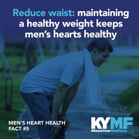 new toolkit shares key facts about men s heart health amhf australian men s health forum