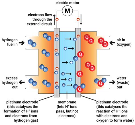 Hydrogen Fuel Cell Circuit Diagram