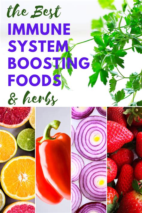 — written by lana burgess on july 10, 2018 which foods boost the immune system The best immune system boosting foods [ & herbs in 2020 ...