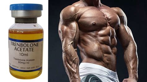 Trenbolone What You Need To Know Usage Cycle And Side Effects Spotmebro