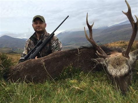 Sika Stag Hunting Ireland