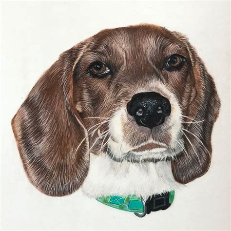 A Drawing Of A Brown And White Dog With A Green Collar On Its Neck